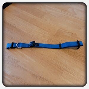 Blue Top Paw Dog Collar